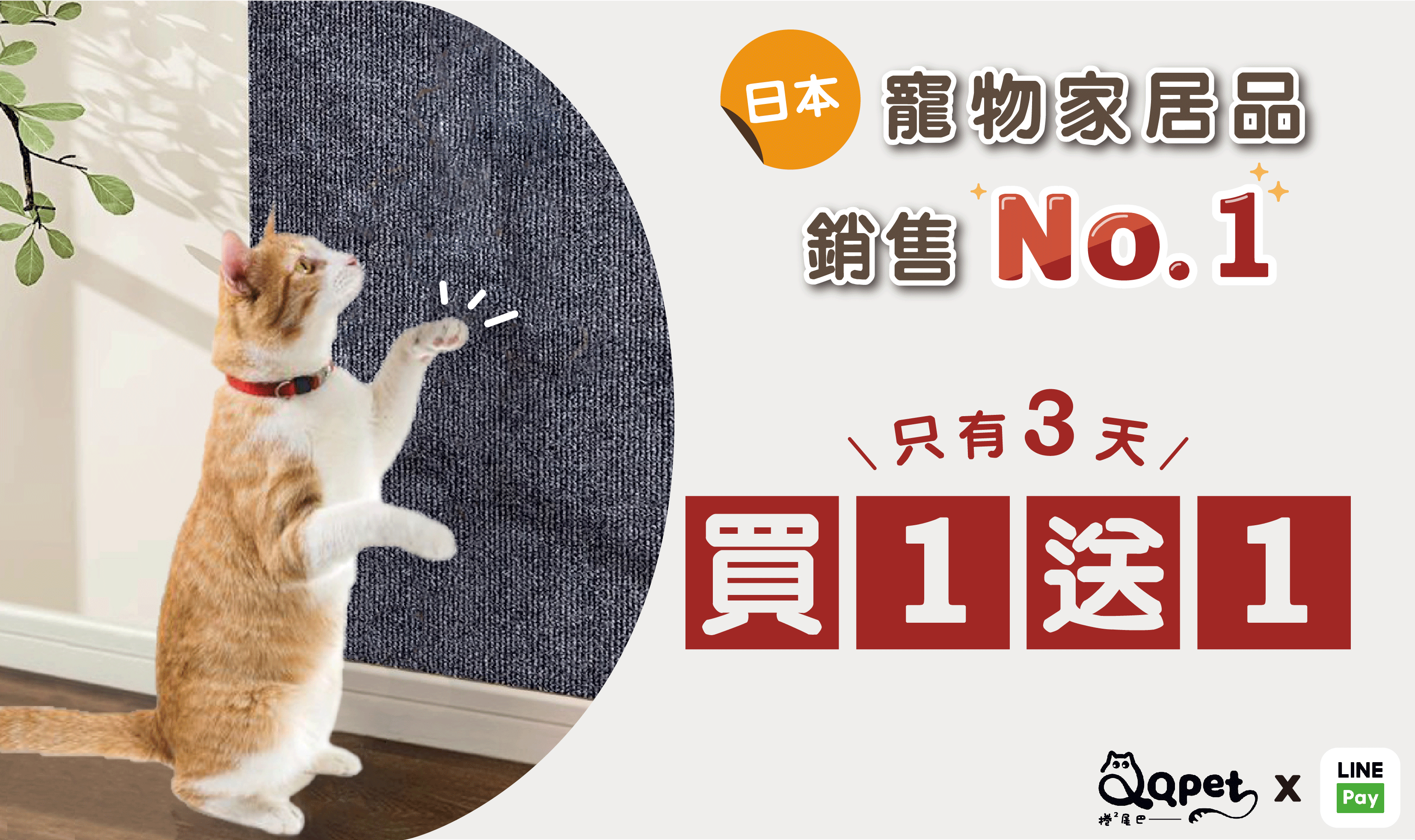 【隨喵所欲抓爬貼】耐抓耐磨0掉屑，史上最好用的貓抓板！